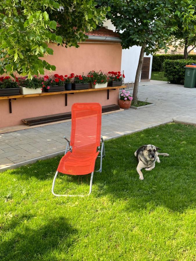 Apartment Ruzica Sukošan Kültér fotó